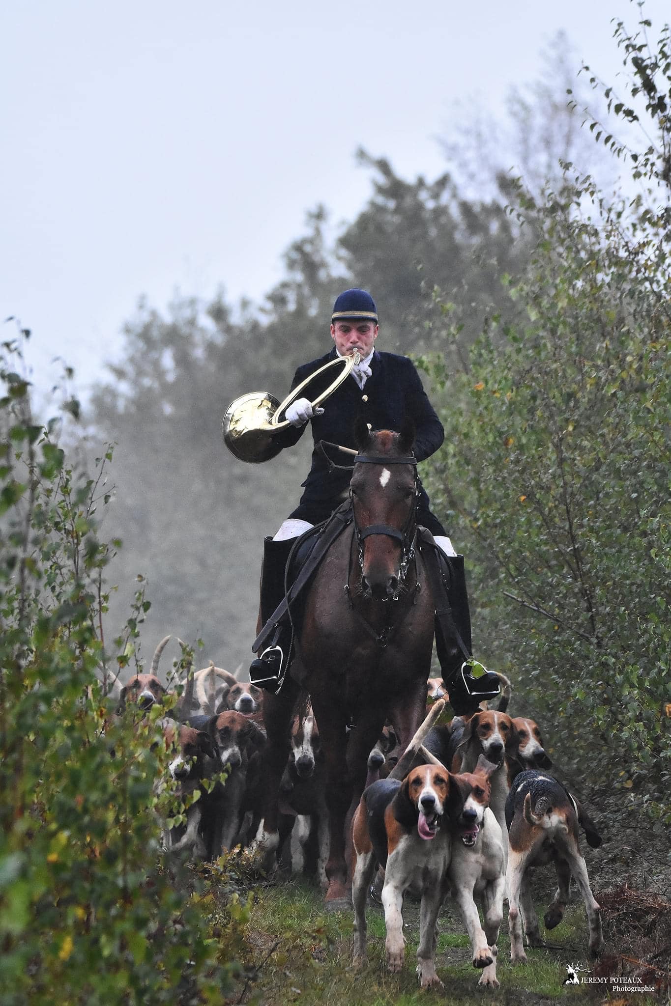 La Futaie Villers